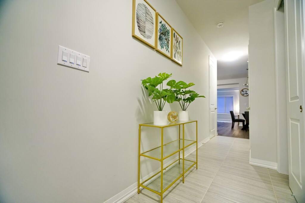 Apartment Beautiful And Unique In *